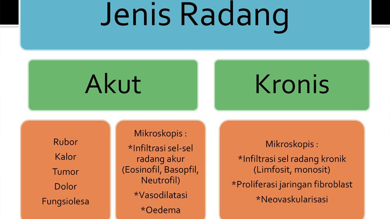 Mengenal Apa Itu Peradangan Akut vs Peradangan Kronis dan Bahayanya – PAFI Kab. Kutai Barat